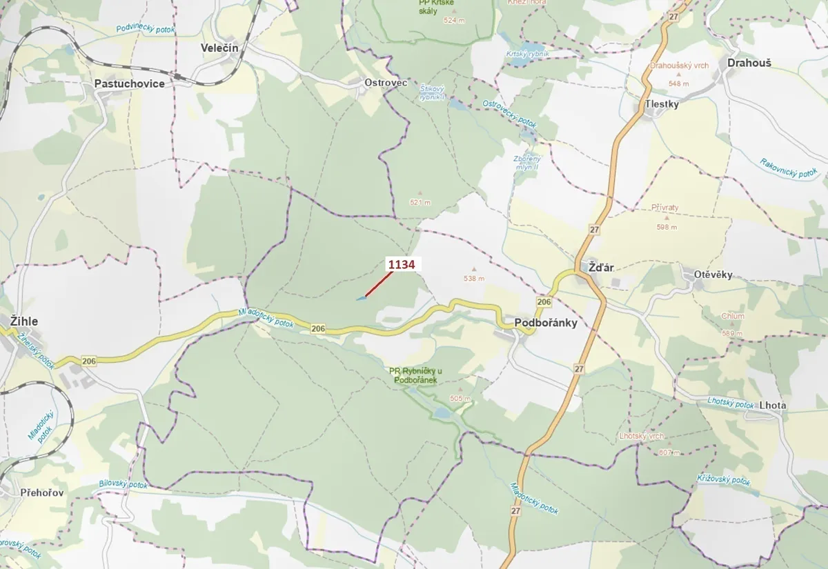 Dražba lesa 1636 m²